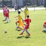 Nogomet U 16 : Zarja Breg - Fiumcello