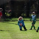Nogomet U 14 : Zarja Breg - S.Luigi