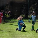 Nogomet U 14 : Zarja Breg - S.Luigi