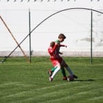 Nogomet U 14 : Zarja Breg - S.Luigi