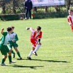 Nogomet U 14 : Zarja Breg - S.Luigi