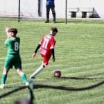 Nogomet U 14 : Zarja Breg - S.Luigi