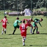 Nogomet U 14 : Zarja Breg - S.Luigi