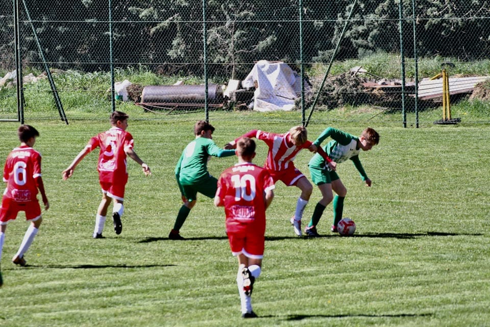 Trebče