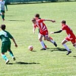 Nogomet U 14 : Zarja Breg - S.Luigi