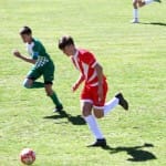 Nogomet U 14 : Zarja Breg - S.Luigi