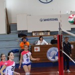 Odbojka Memorial Veljak