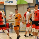 Odbojka moška D liga ; Sloga Tabor - Rojalese