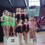 Borove gimnastičarke v Ljubljani in v Pulju