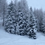 Zoncolan: trije naši predstavniki na državno fazo