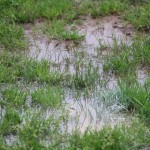 Elitna liga: Juventina - Maniago Vajont