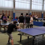 slovenske visjesolske