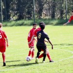 Nogomet 2.AL : Primorec - Aris S. Polo