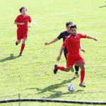 Nogomet 2.AL : Primorec - Aris S. Polo