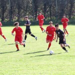 Nogomet 2.AL : Primorec - Aris S. Polo