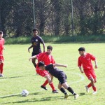 Nogomet 2.AL : Primorec - Aris S. Polo