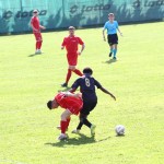 Nogomet 2.AL : Primorec - Aris S. Polo