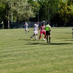 Nogomet Prom. liga : Kras Repen - Risanese