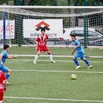 Nogomet Amaterska l. : Vesna - Zarja