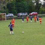 Nogomet 2.AL : Zarja - Primorje