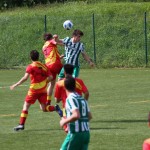 Nogomet 2. AL : Primorje - Domio