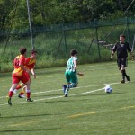 Nogomet 2. AL : Primorje - Domio