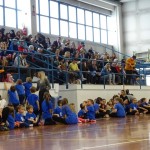 Pomladni prikaz dela pri AŠZ Olympia