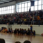 Pomladni prikaz dela pri AŠZ Olympia