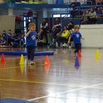 Pomladni prikaz dela pri AŠZ Olympia