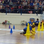 Pomladni prikaz dela pri AŠZ Olympia