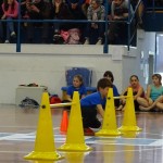 Pomladni prikaz dela pri AŠZ Olympia