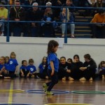 Pomladni prikaz dela pri AŠZ Olympia