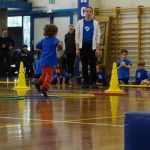 Pomladni prikaz dela pri AŠZ Olympia