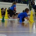 Pomladni prikaz dela pri AŠZ Olympia