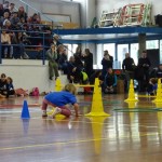 Pomladni prikaz dela pri AŠZ Olympia