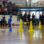 Pomladni prikaz dela pri AŠZ Olympia