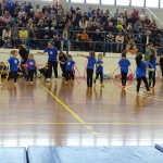 Pomladni prikaz dela pri AŠZ Olympia