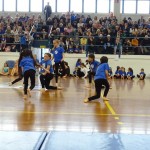 Pomladni prikaz dela pri AŠZ Olympia