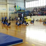 Pomladni prikaz dela pri AŠZ Olympia