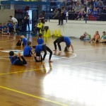 Pomladni prikaz dela pri AŠZ Olympia