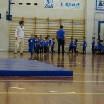 Pomladni prikaz dela pri AŠZ Olympia