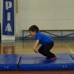 Pomladni prikaz dela pri AŠZ Olympia