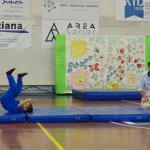 Pomladni prikaz dela pri AŠZ Olympia