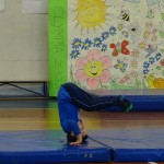 Pomladni prikaz dela pri AŠZ Olympia