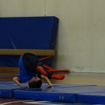 Pomladni prikaz dela pri AŠZ Olympia