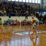 Pomladni prikaz dela pri AŠZ Olympia