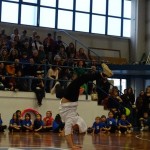 Pomladni prikaz dela pri AŠZ Olympia