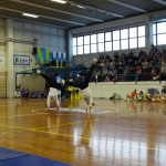 Pomladni prikaz dela pri AŠZ Olympia