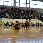 Pomladni prikaz dela pri AŠZ Olympia