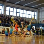 Pomladni prikaz dela pri AŠZ Olympia